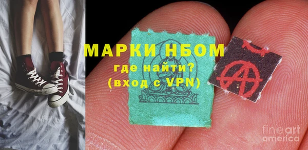 ПСИЛОЦИБИНОВЫЕ ГРИБЫ Михайловка