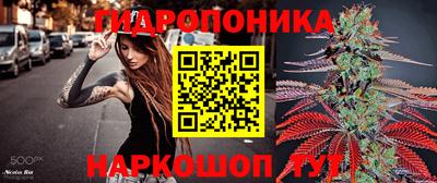бошки Заводоуковск