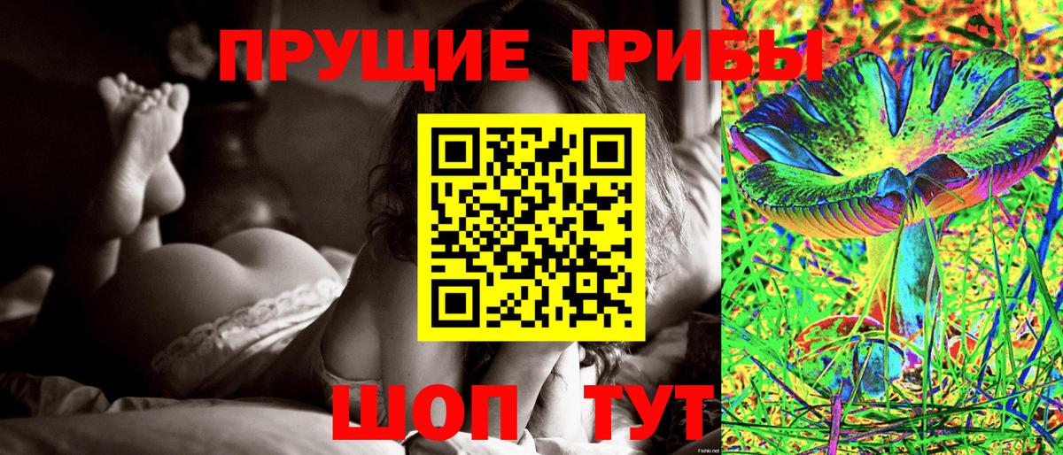 Галлюциногенные грибы Psilocybine cubensis Майский