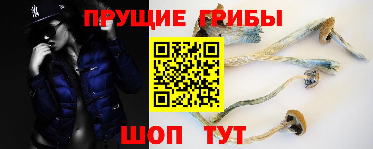 Майский  Псилоцибиновые грибы мухоморы  Вход с VPN 